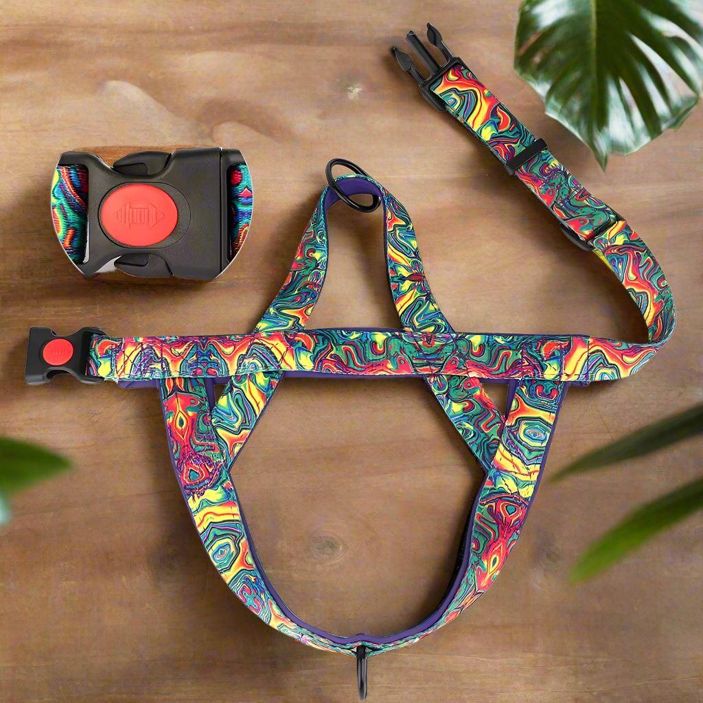 Harnais pour Chien - DogSafeHarness™ - Violet - Jolianimaux