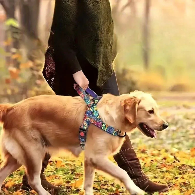 Harnais pour Chien - DogSafeHarness™ - Violet - Jolianimaux