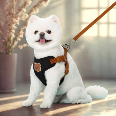 harnais pour petit chien couleur noir