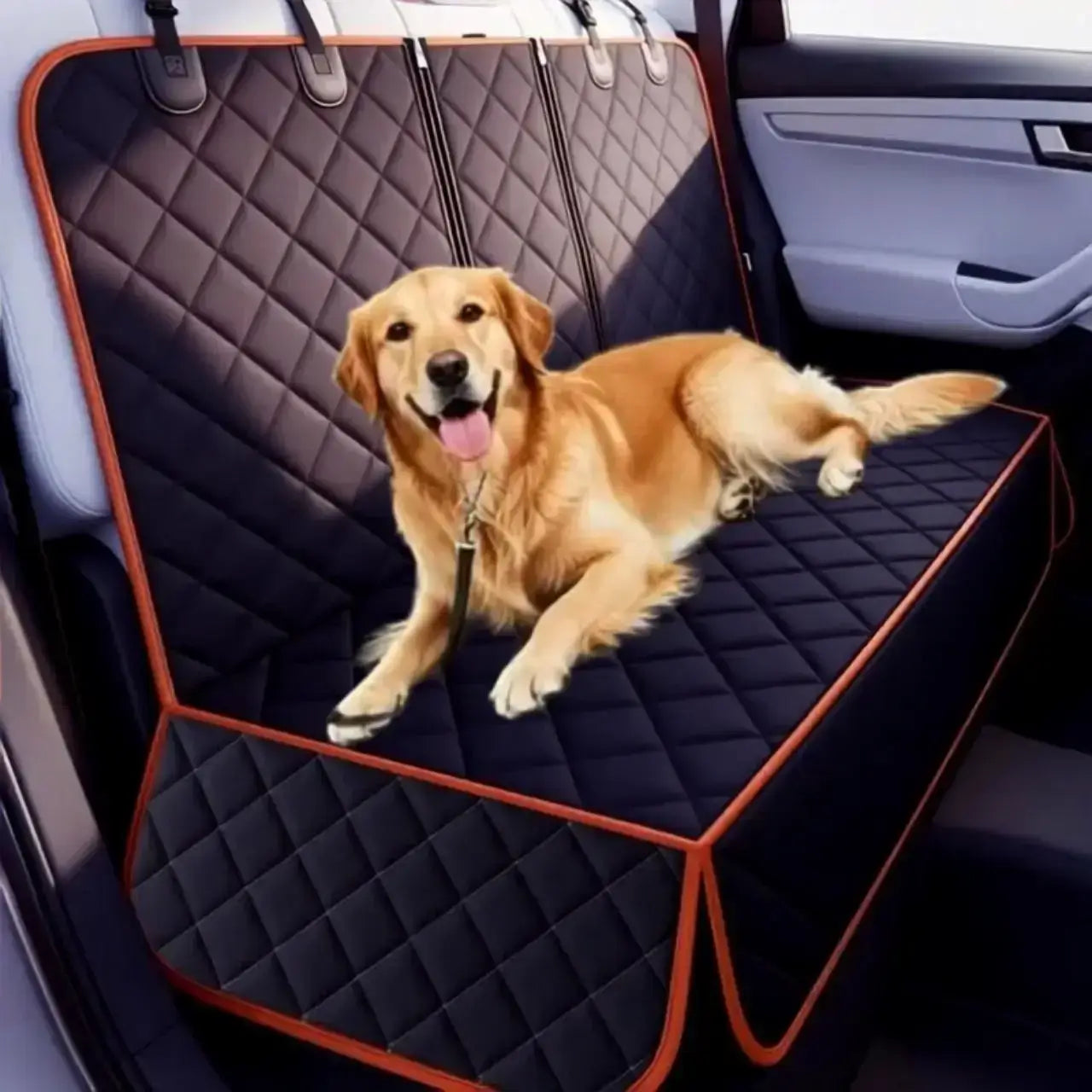 Un golden retriever est allongé sur la housse de voiture pour chien noire et orange sur la banquette arrière.