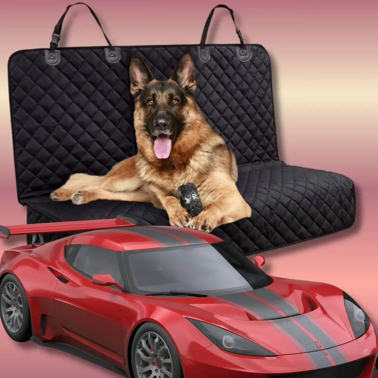 Un berger allemand allongé sur la housse de voiture pour chien avec une camaro.