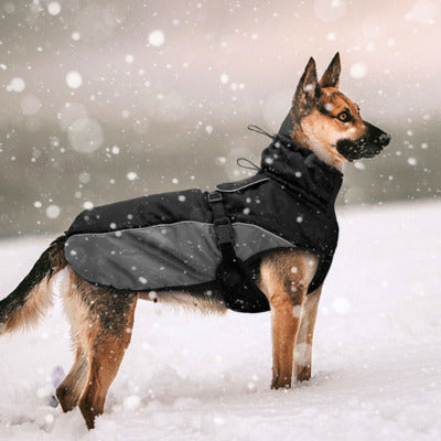 impermeable chien berger allemand neige impermeable noir