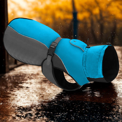 impermeable chien bleu gris pluie automne