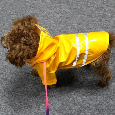 impermeable pour chien caniche brun impermeable jaune