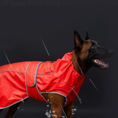 impermeable pour chien rouge pluie malinois