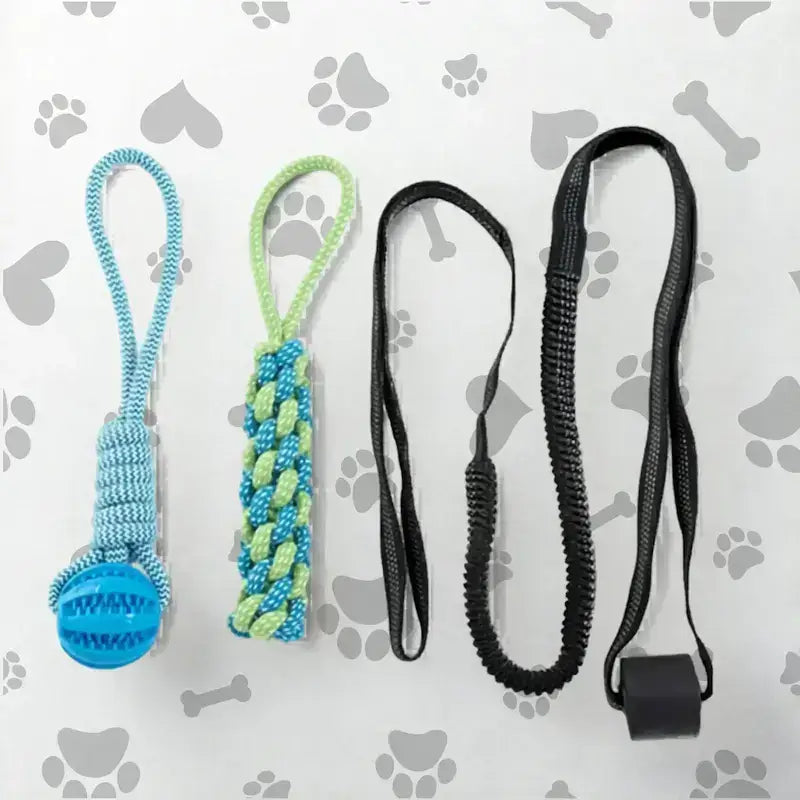 Kit de jouet interactif pour chien de couleur bleu.