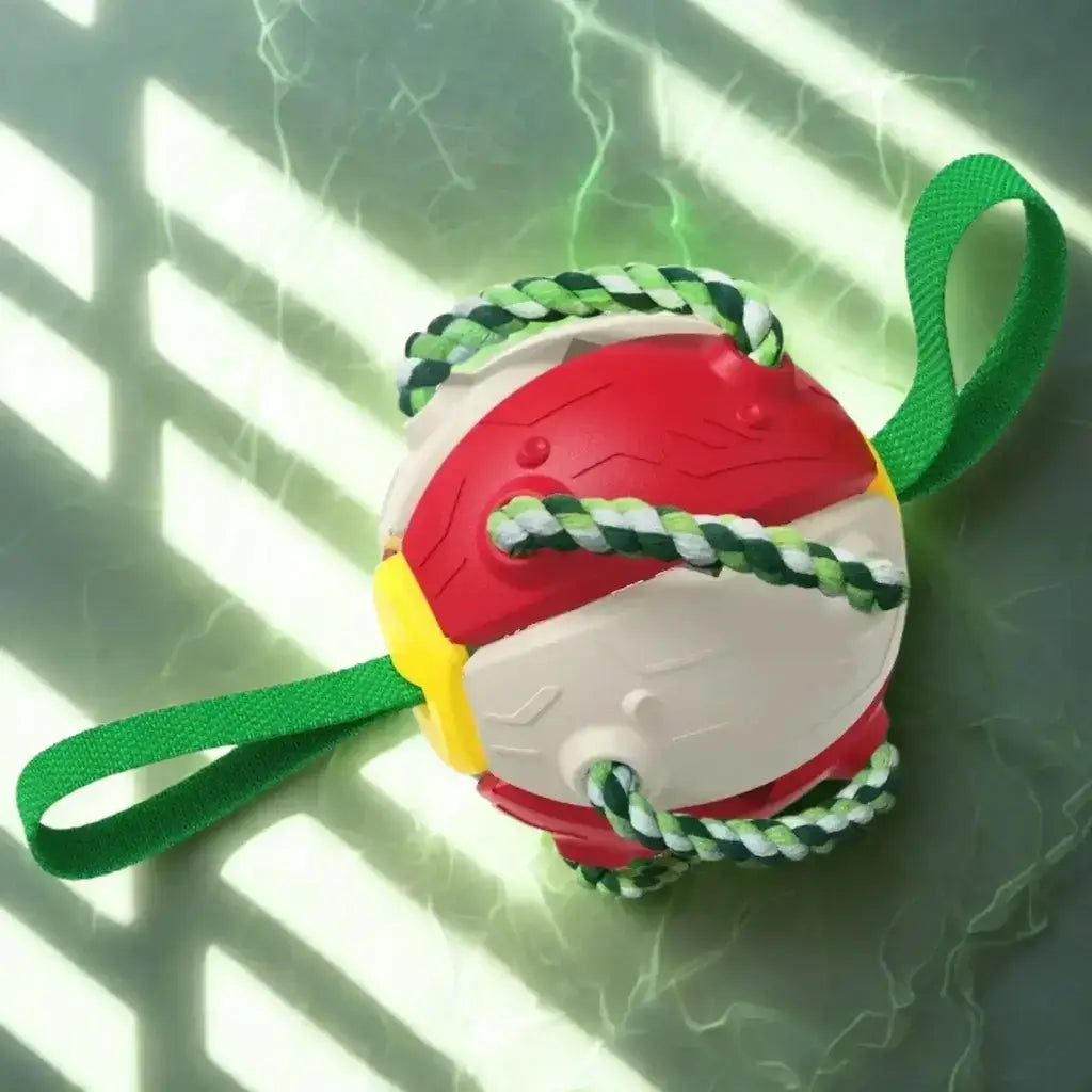 Jouets pour chien de couleur rouge.