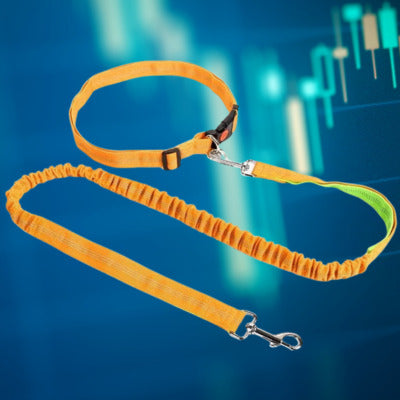 laisse canicross couleur orange reflechissant