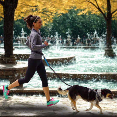 laisse canicross femme cour avec chien laisse fontaine en arriere