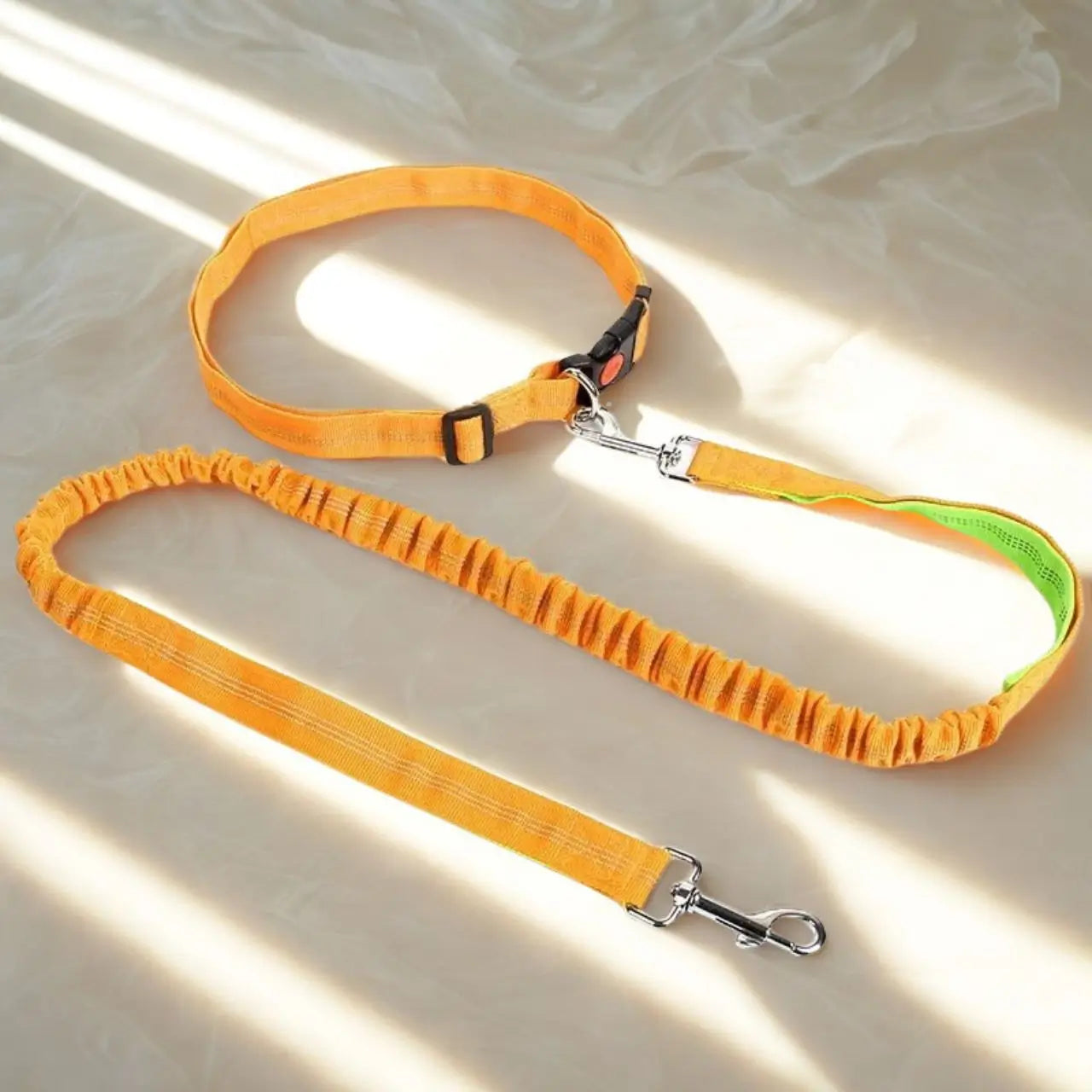 Une laisse canicross de couleur orange réfléchissant.