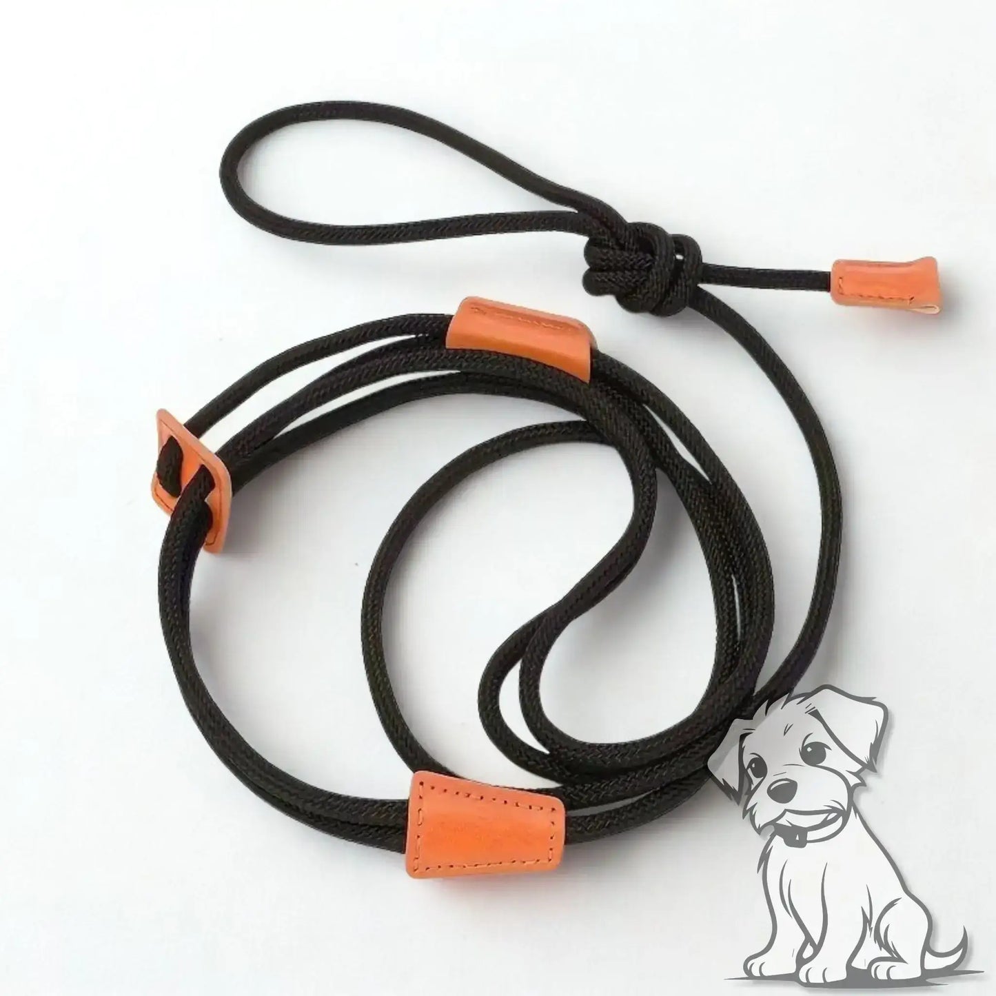 Une laisse pour chien en corde de couleur noir.