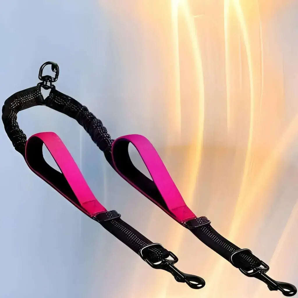Une laisse pour chien double de couleur rose.