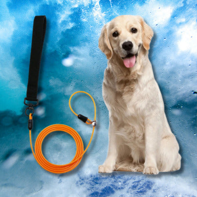 laisse corde pour chien couleur orange labrador