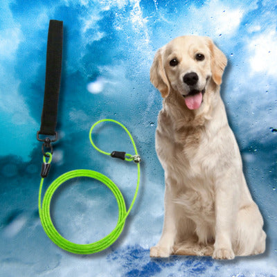 laisse corde pour chien couleur vert labrador
