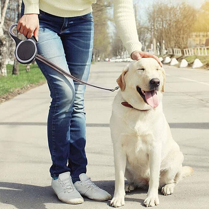 Laisse de Chien - MaxLeash™ - Noir - Jolianimaux