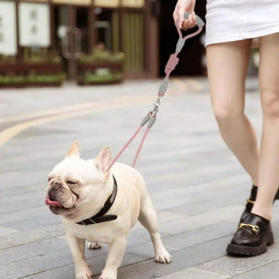 laisse double chien femme marche bouledogue francais laisse