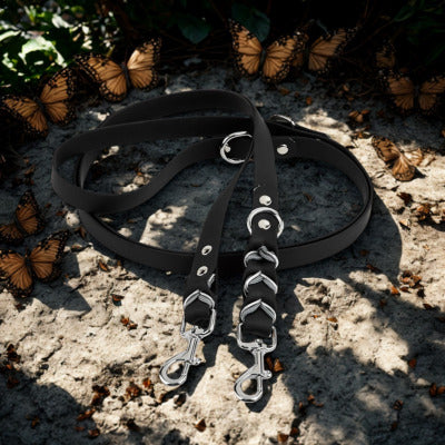 laisse double pour chien couleur noir entoure papillion