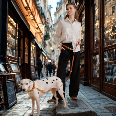 laisse double pour chien femme dalmatien rue kiosque rustique