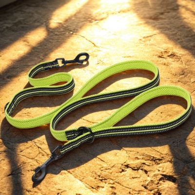 laisse main libre chien couleur vert fluo