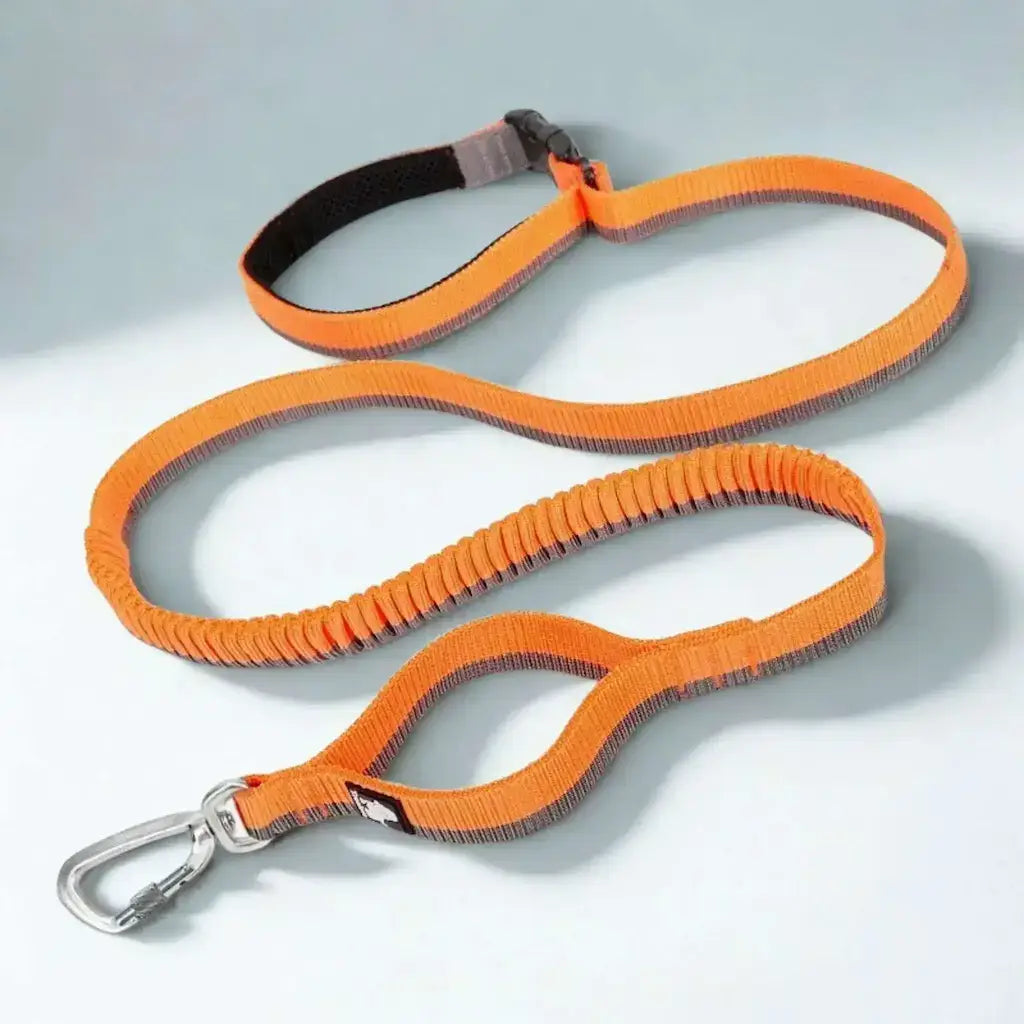 Une laisse mains libres pour chien de couleur orange.