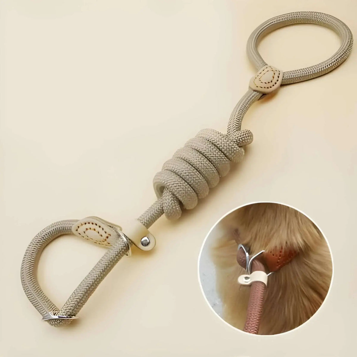 Une laisse pour chien de couleur beige avec boucle limite.