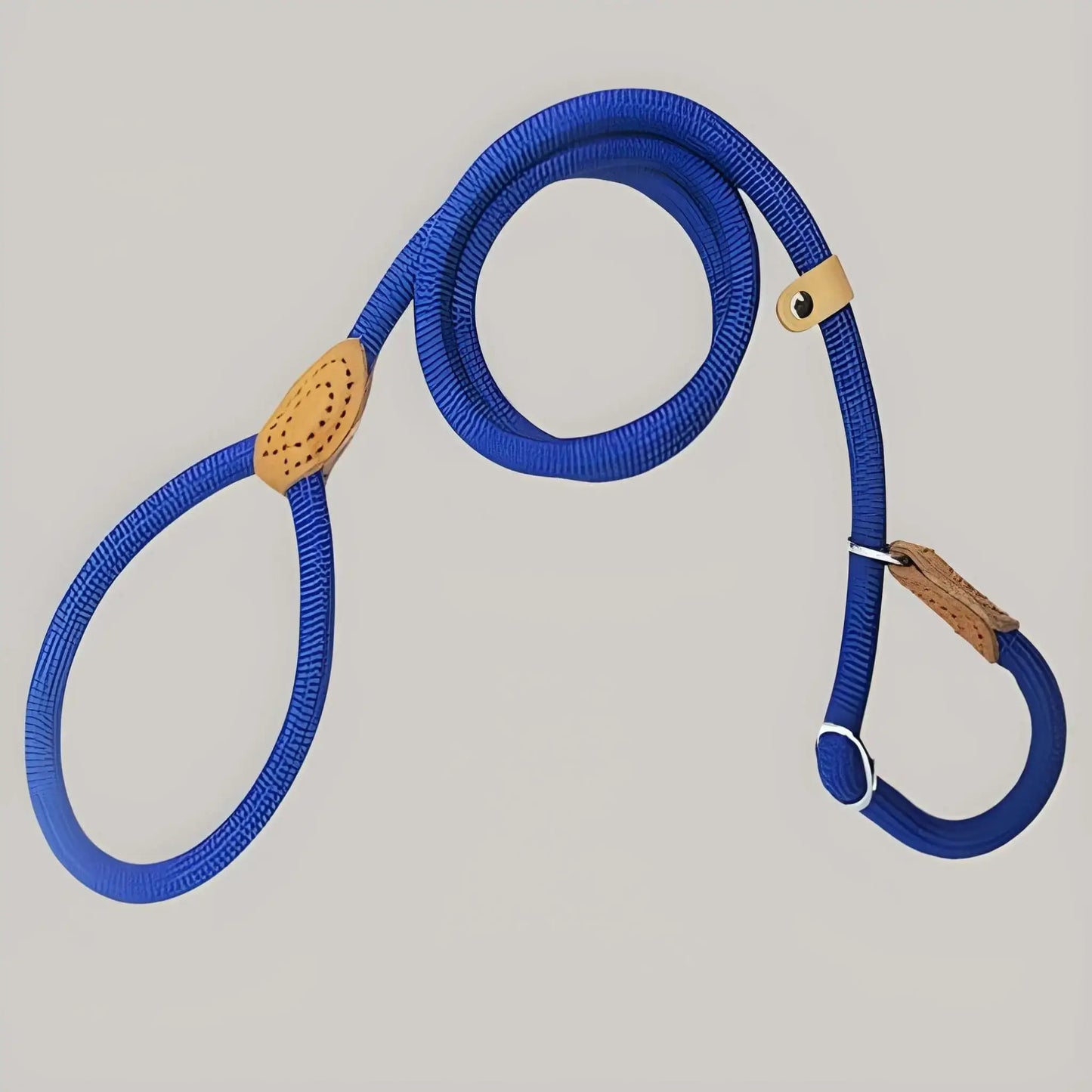 Une laisse pour chien de couleur bleue.