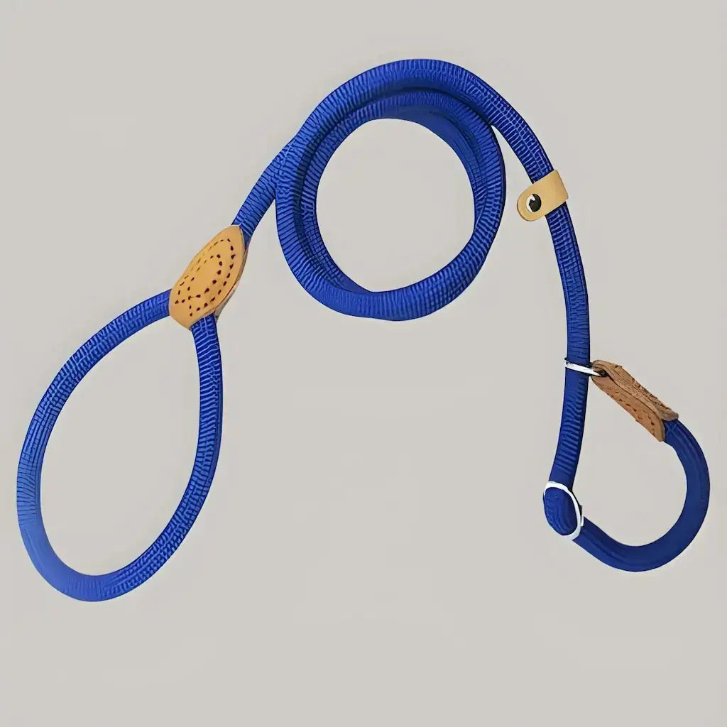 Une laisse pour chien de couleur bleue.