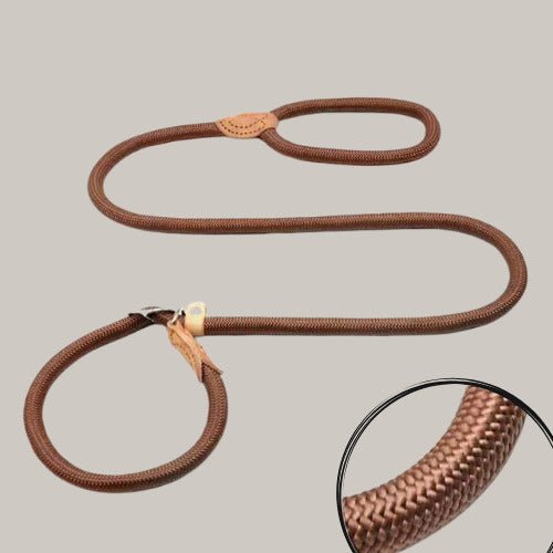 Laisse pour chien | AmiAttaché™️ - Jolianimaux