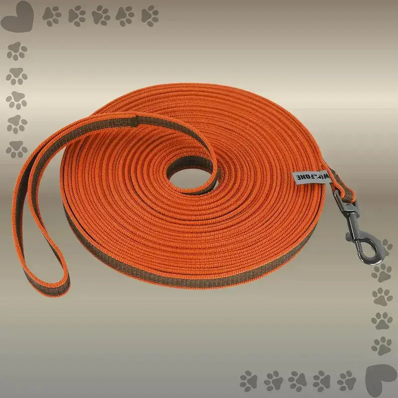 Une laisse pour chien de couleur orange imperméable.