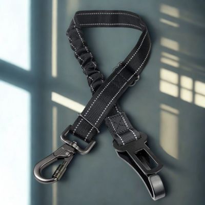 laisse pour chien couleur noir