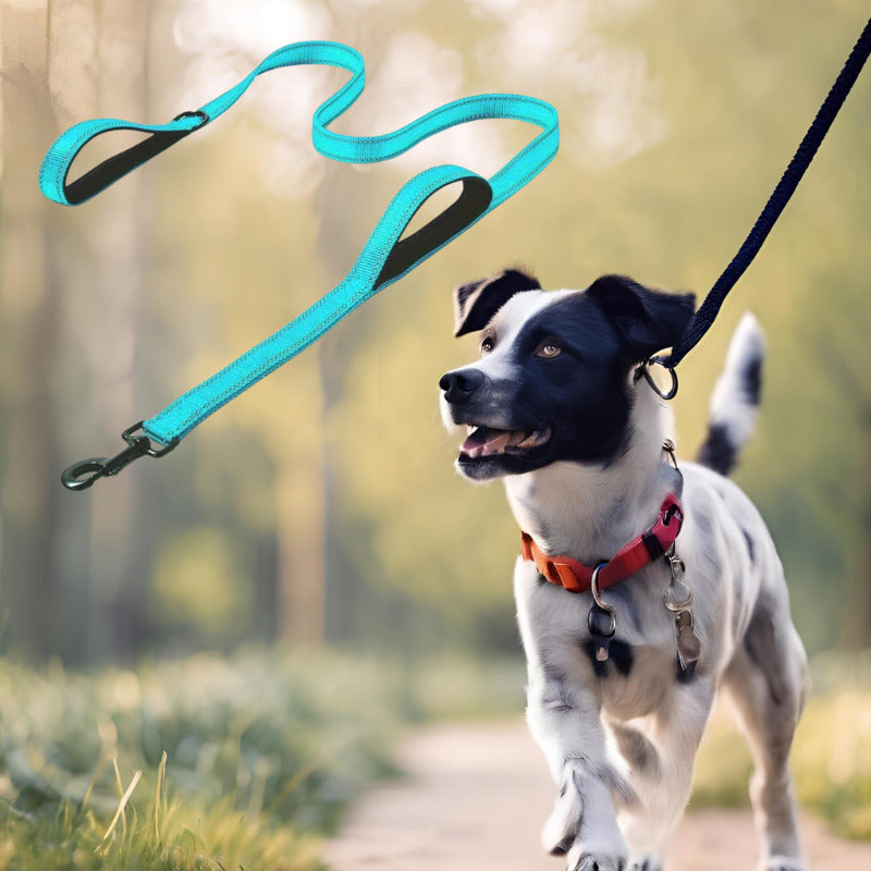 laisse pour chien couleur turquoise poignee noir