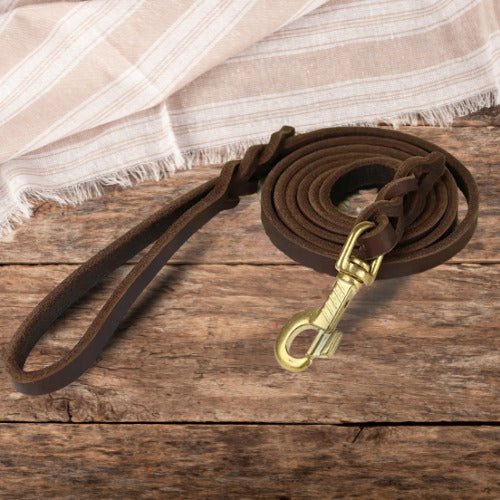 Laisse pour chien | LaisseGo™️ - Jolianimaux