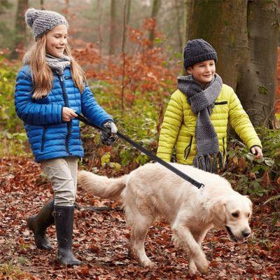 laisse pour chien deux enfants joue forest avec chien