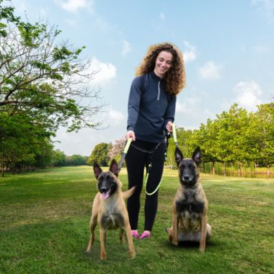 laisse pour chien double chien malinois femme