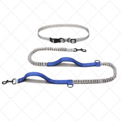 laisse pour chien double poignee bleu