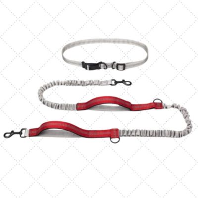 laisse pour chien double poignee rouge