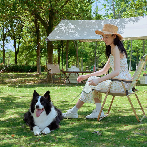 laisse pour chien femme assis avec chien en laisse