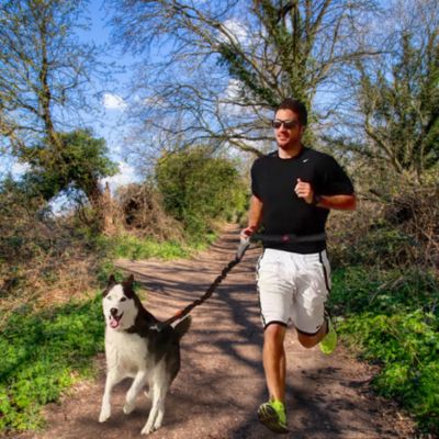 laisse pour chien homme jogging chien laisse