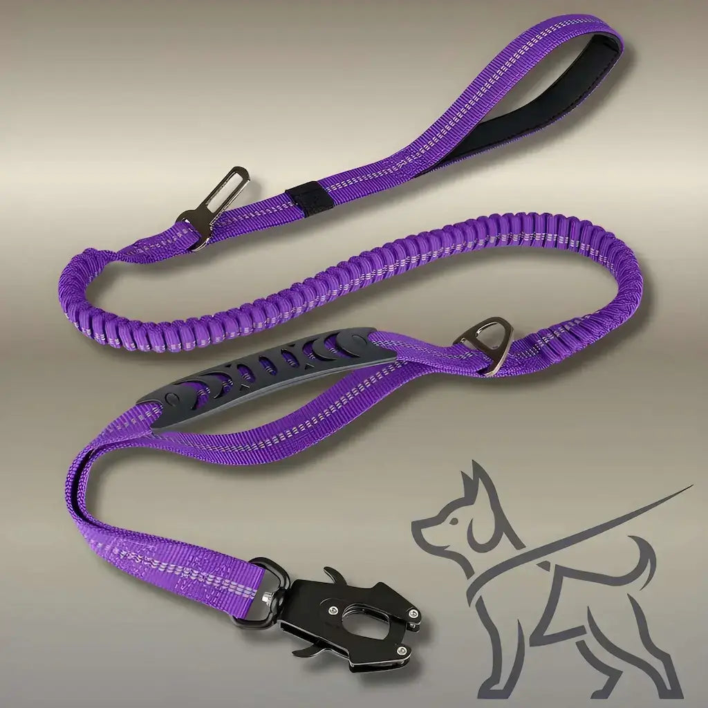 Une laisse pour chien tactique de couleur violette.