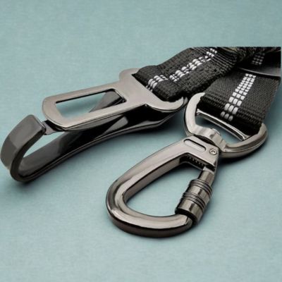 laisse pour chien loquet mousqueton