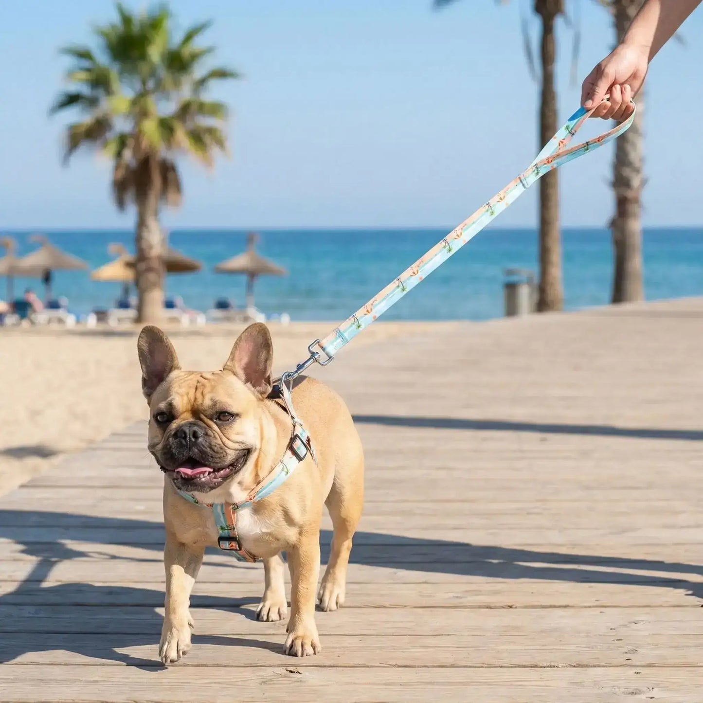 Un bouledogue français marche sur le quai de la plage avec sa laisse pour chien à motif plage d'été.