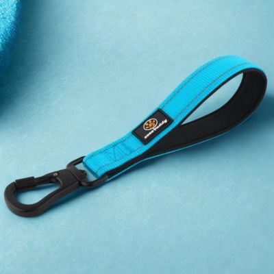 laisses pour chiens couleur bleu