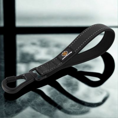 laisses pour chiens couleur noir