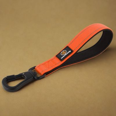 laisses pour chiens couleur orange