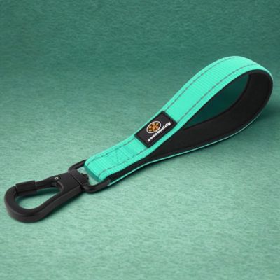 laisses pour chiens couleur vert