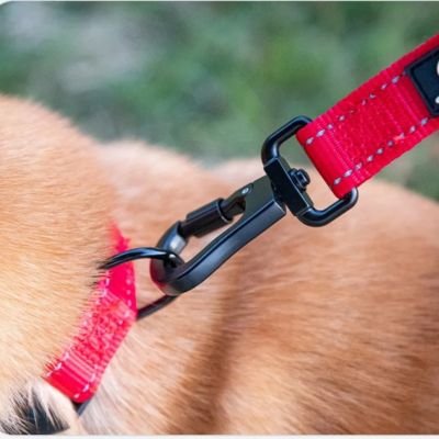 laisses pour chiens mousqueton securisee robuste