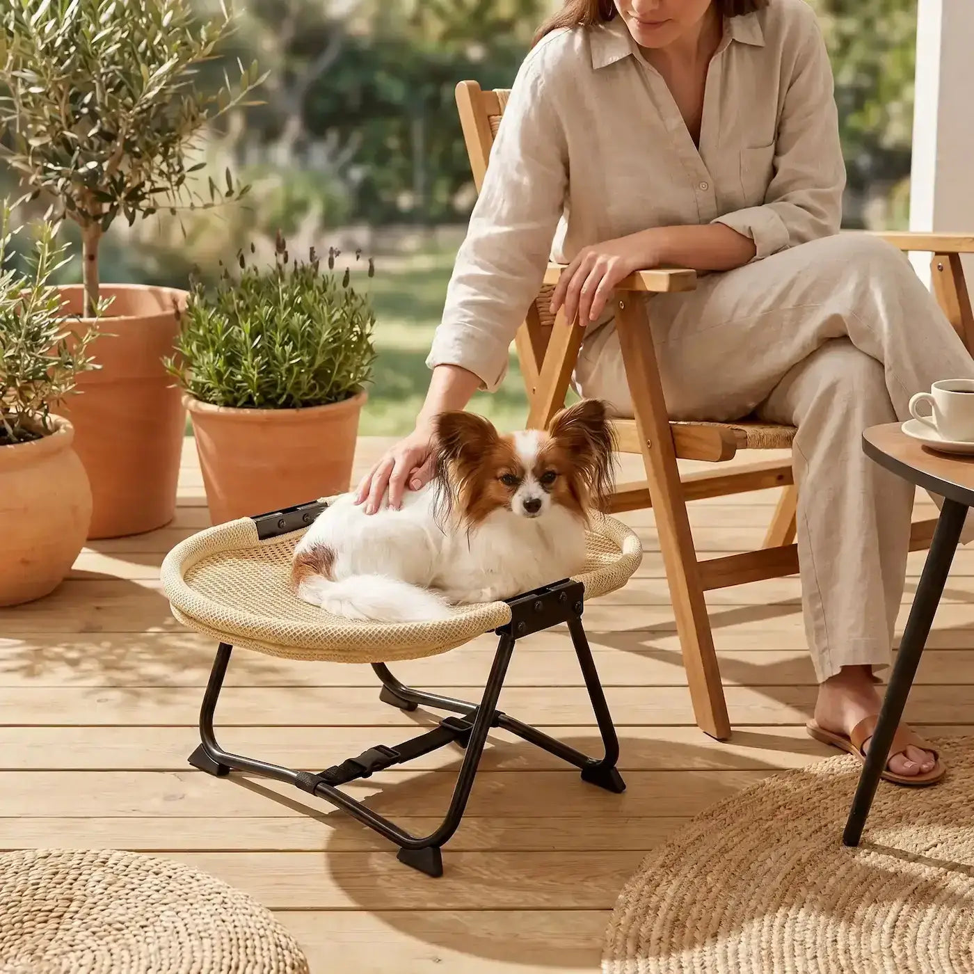 Une femme sur une terrasse caresse son chihuahua papillon allongé sur un lit pour chien surélevé.