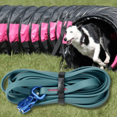 longe chien agilite tunel longe couleur verte