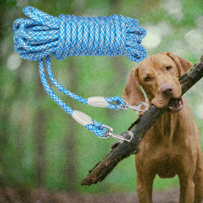 longe chien couleur bleu chien bois