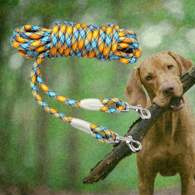 longe chien couleur orange chien branche